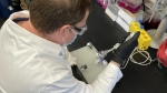 Easy-to-deliver mRNA treatment shows promise for stopping flu and Covid-19 viruses Easy-to-deliver mRNA treatment shows promise for stopping flu and Covid-19 viruses