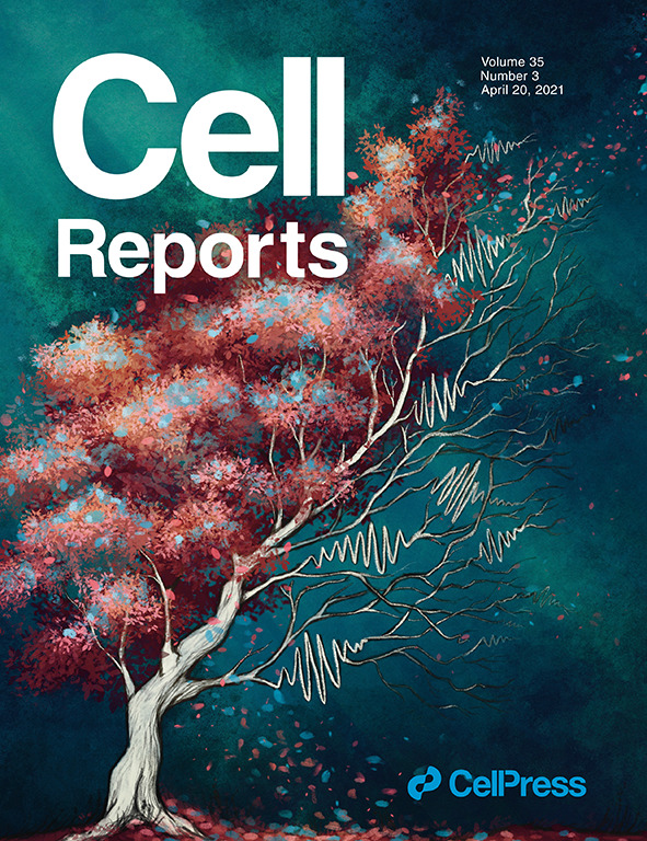 Cover of Cell Reports April 20, 2021. Illustration of a tree.