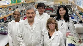 Cheng Zhu lab members