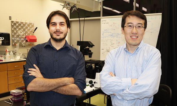 Pictured left to right: Biagio Mandracchia, postdoctoral fellow in Jia’s group who led the research, and Shu Jia, assistant professor in the Wallace H. Coulter Department of Biomedical Engineering.