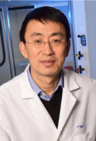 Wei Sun, associate professor in the Wallace H. Coulter Department of Biomedical Engineering at Georgia Tech and Emory University.