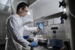 Selenium Anchors Could Improve Durability of Platinum Fuel Cell Catalysts Selenium Anchors Could Improve Durability of Platinum Fuel Cell Catalysts