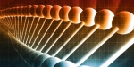Understanding the Aging Process Understanding the Aging Process