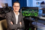 Robles Lab Expands Utility of 3D Tomography Robles Lab Expands Utility of 3D Tomography