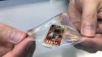 Soft Wearable Health Monitor Uses Stretchable Electronics Soft Wearable Health Monitor Uses Stretchable Electronics
