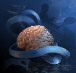 Engineers Decode Conversations in Brain's Motor Cortex Engineers Decode Conversations in Brain's Motor Cortex