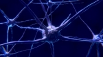 Stanley Named Founding Director of McCamish Parkinson’s Disease Innovation Program Stanley Named Founding Director of McCamish Parkinson’s Disease Innovation Program