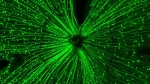 Understanding How Violet Light Can Stop Myopia Progression Understanding How Violet Light Can Stop Myopia Progression