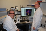Digging Deeper into RSV Digging Deeper into RSV