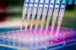 Coulter Foundation Provides Translational Funding Coulter Foundation Provides Translational Funding