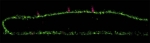 Delivering Antibodies via mRNA Could Prevent RSV Infection Delivering Antibodies via mRNA Could Prevent RSV Infection