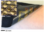 New Flexible Electronics Research Shows Promise for Spinal Therapies New Flexible Electronics Research Shows Promise for Spinal Therapies