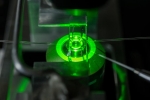 Zhu Lab Explains the Inhibitory Role of World’s Most Famous Molecule Zhu Lab Explains the Inhibitory Role of World’s Most Famous Molecule