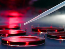 Cellular, Molecular and Biomaterials Engineering Cellular, Molecular and Biomaterials Engineering