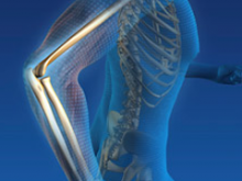 Biomechanics and Mechanobiology Biomechanics and Mechanobiology