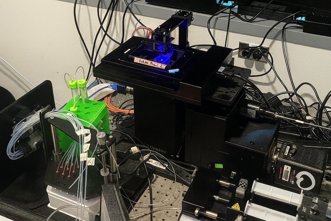 Close-up of a laboratory imaging setup with a black optical device holding a sample under blue light. Several transparent tubes connect to a green holder with capped vials, alongside pumps and wiring on a perforated metal surface.