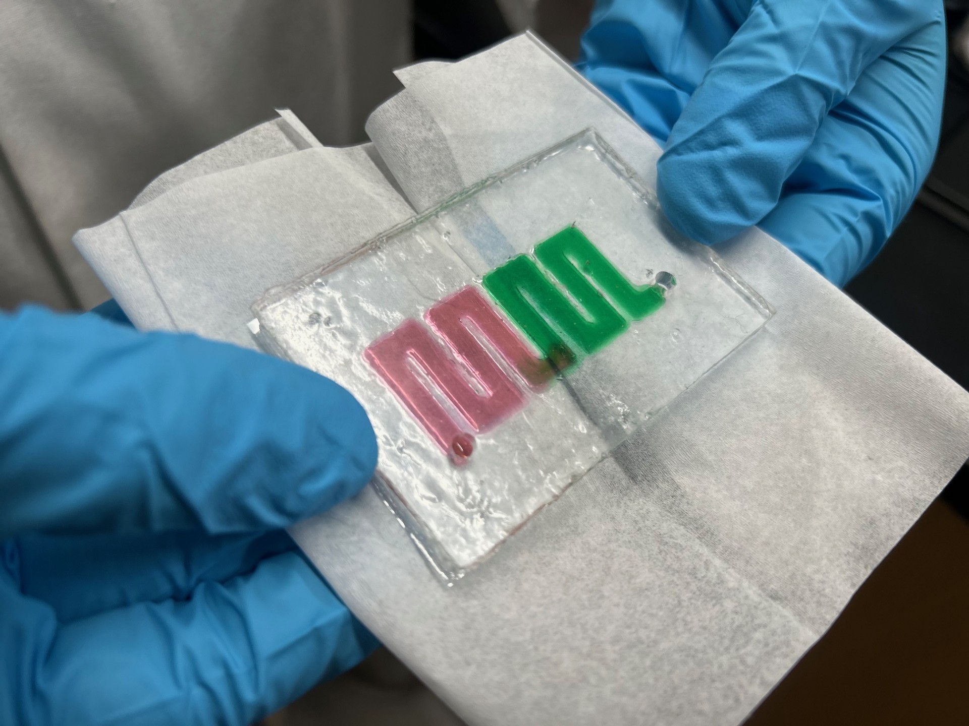 A close up on the 'diet-on-a-chip' model used to study Sjögren’s disease.