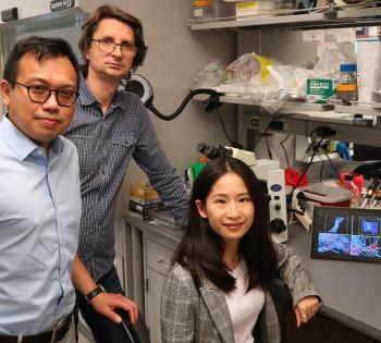 From left, researchers Wilbur Lam, Alexander Alexeev, and Yueyi Sun hope their findings open medical options for people with clotting issues. (Photo: Reginald Tran)