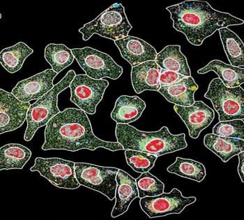 Cell signaling in action.