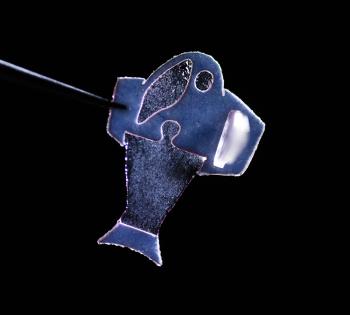 This artificial “biohybrid” fish is made with commercially available human heart cells and swims by recreating the muscle contractions of a pumping heart. Published in Science, the system brings engineers closer to complex artificial pumps that could grow with young patients. It also provides a new platform for studying heart rhythm problems. (Photo: Michael Rosnach, Keel Yong Lee, Sung-Jin Park, Kevin Kit Parker)