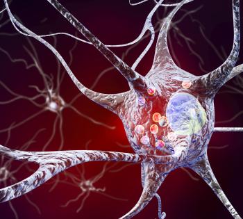 Neurons
