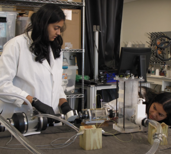 Scientists researching