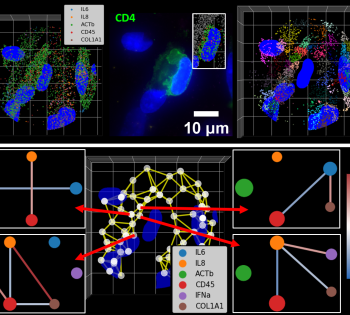Photo provided by Coskun lab