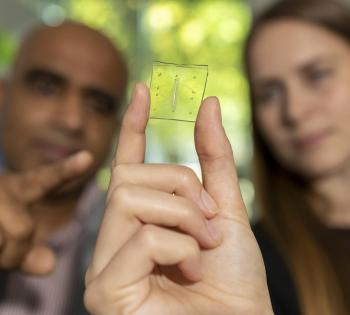 Photo of Ankur Singh (left) and Rachel Ringquist (right) pointing to the microscopic lung-on-a-chip that has a built-in immune system.