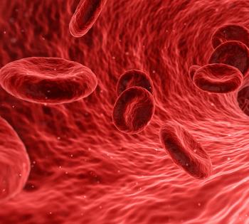Red Blood Cell Illustration