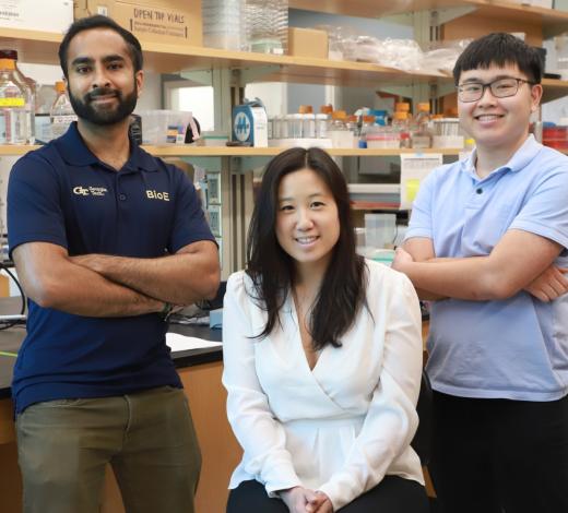 Photo of Leslie Chan and her two graduate students (l to r): Vishal Manickam and Khoi Le