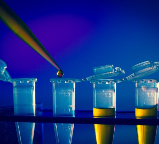 bigstock-immunological-research-in-the--70206184.jpg