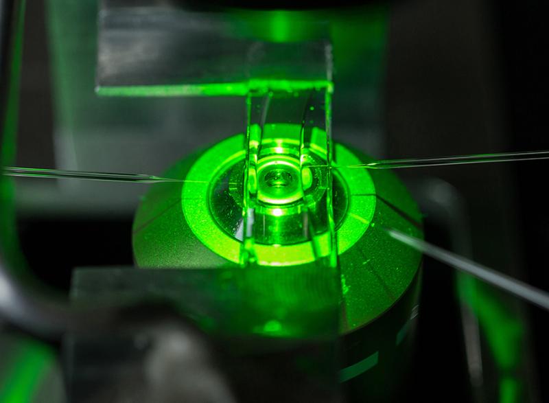 A cell chamber is mounted on a microscope. Three micropipettes, inserted into the chamber from both sides, are used to aspirate individual cells, to bring them into contact so that researchers can study their interactions. This is the kind of methodology that Cheng Zhu and his colleagues used to study PD-1.