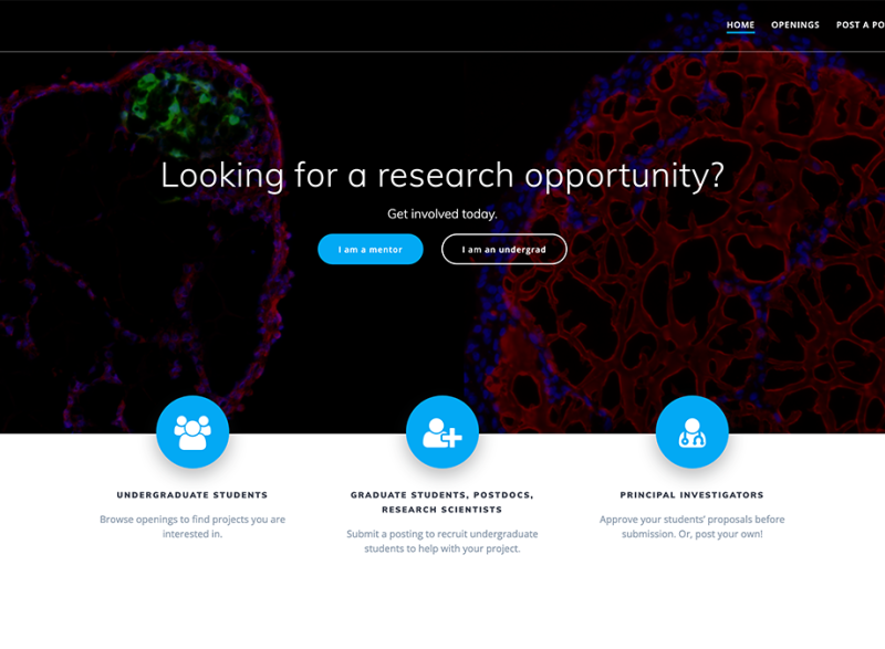 PairMe website screenshot: "Looking for a research opportunity?"
