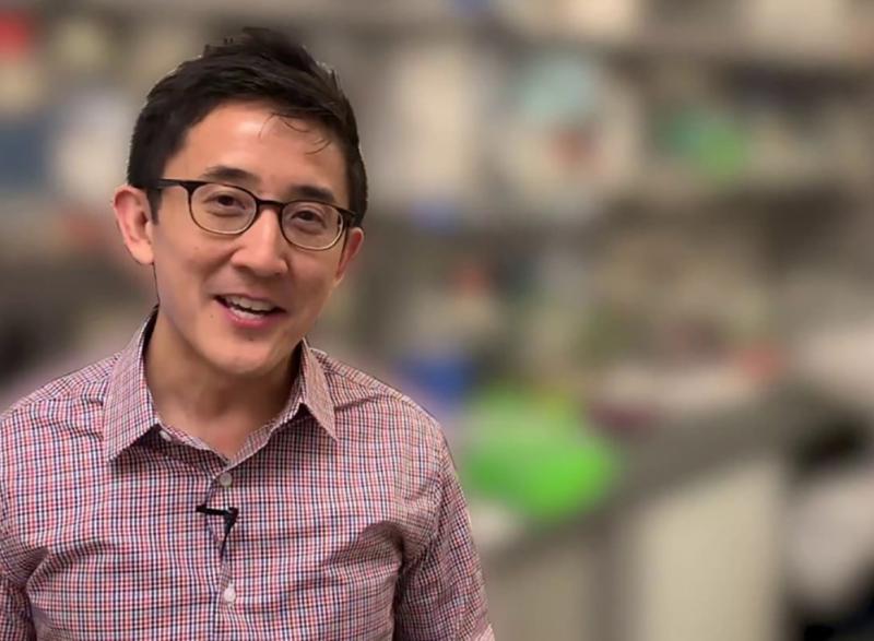 Gabe Kwong