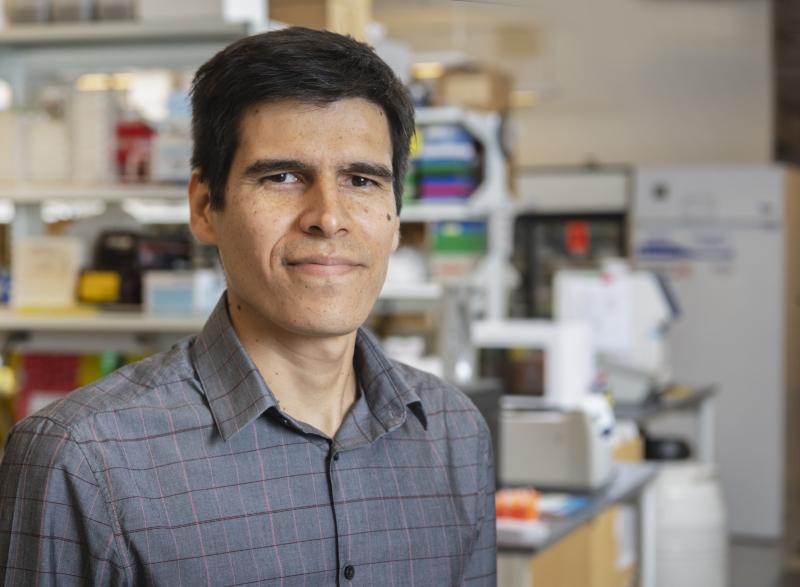 Felipe Quiroz in his lab