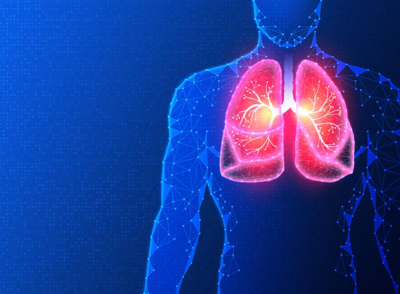 Digital illustration of lungs inside human body.