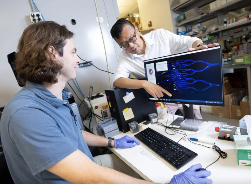 A male student with a blue shirt sits in front of a computer moving the computer mouse as a male faculty member, standing behind the computer screen, points to a digital DNA sequence on the screen.
