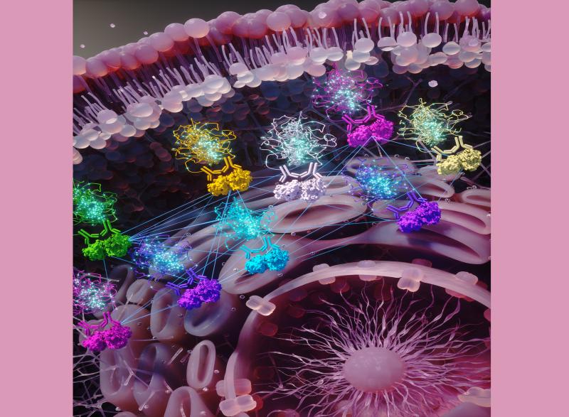 cell stuff