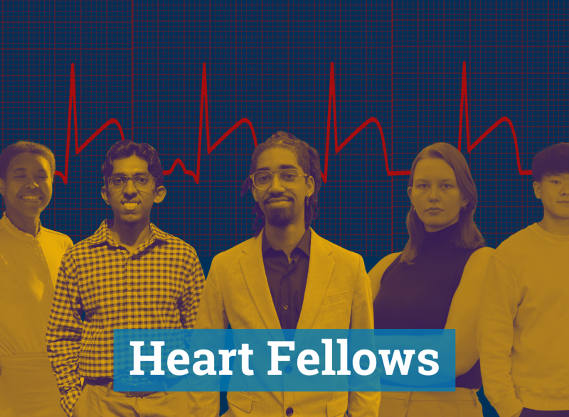 Graphic image of a group of five students from the Coulter BME Cardiovascular Biomechanics Graduate Training Program at Emory and Georgia Tech