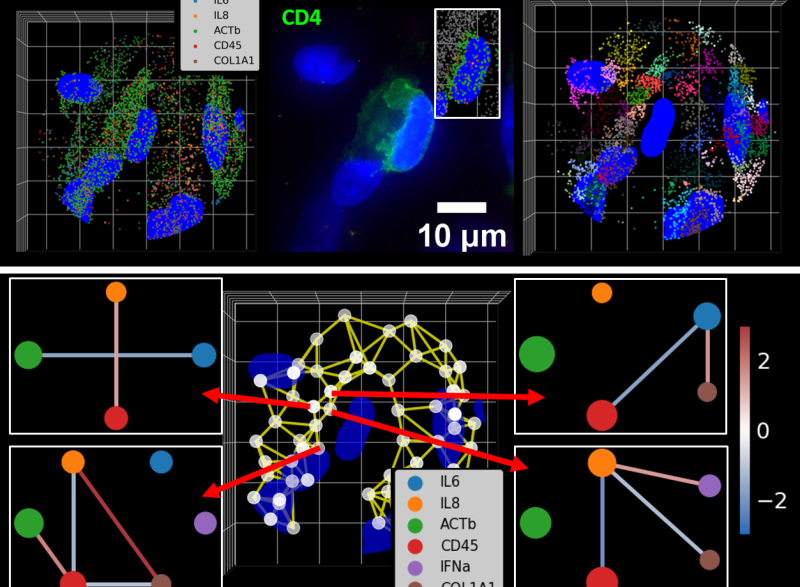 Photo provided by Coskun lab