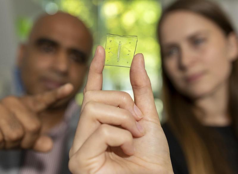 Photo of Ankur Singh (left) and Rachel Ringquist (right) pointing to the microscopic lung-on-a-chip that has a built-in immune system.