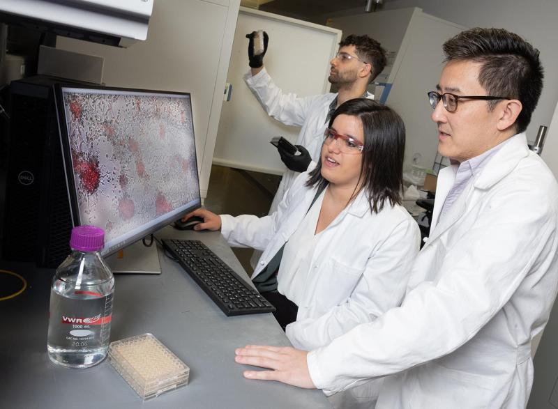 Photo of Lena Gamboa, seated, Gabe Kwong, foreground, and Ali Zamat looking at microscopic cells closeup on a computer screen