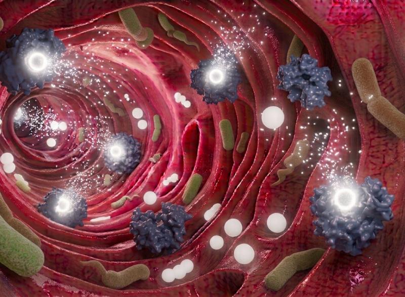Graphic image of what ingestible probes look like inside the gut.