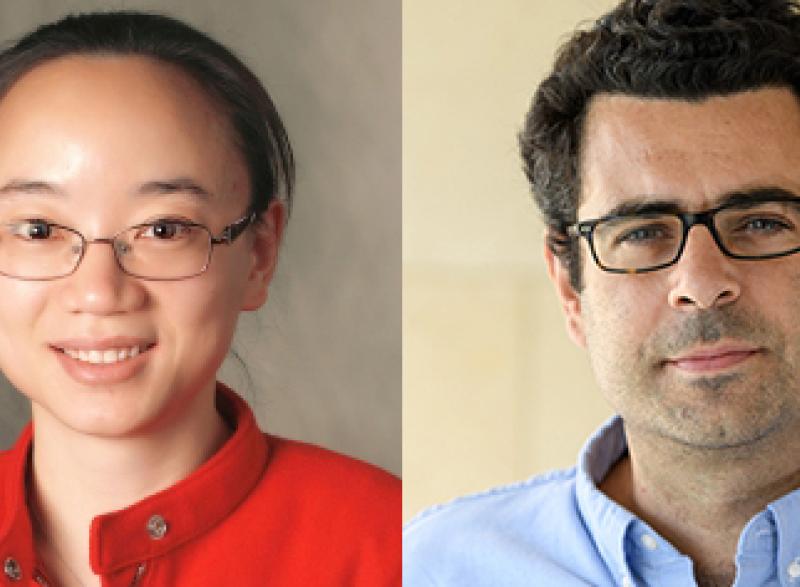 Liang Han and Costas Arvanitis