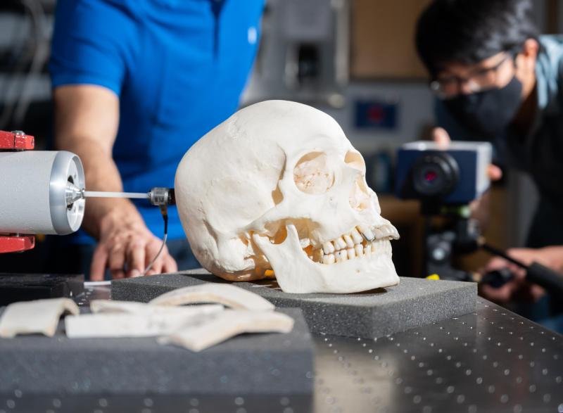 Close up of skull imaging