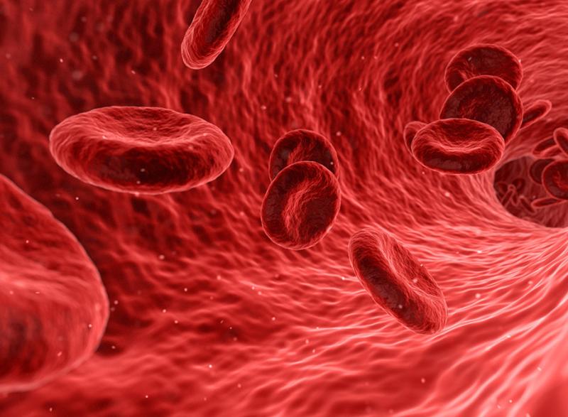 Red Blood Cell Illustration