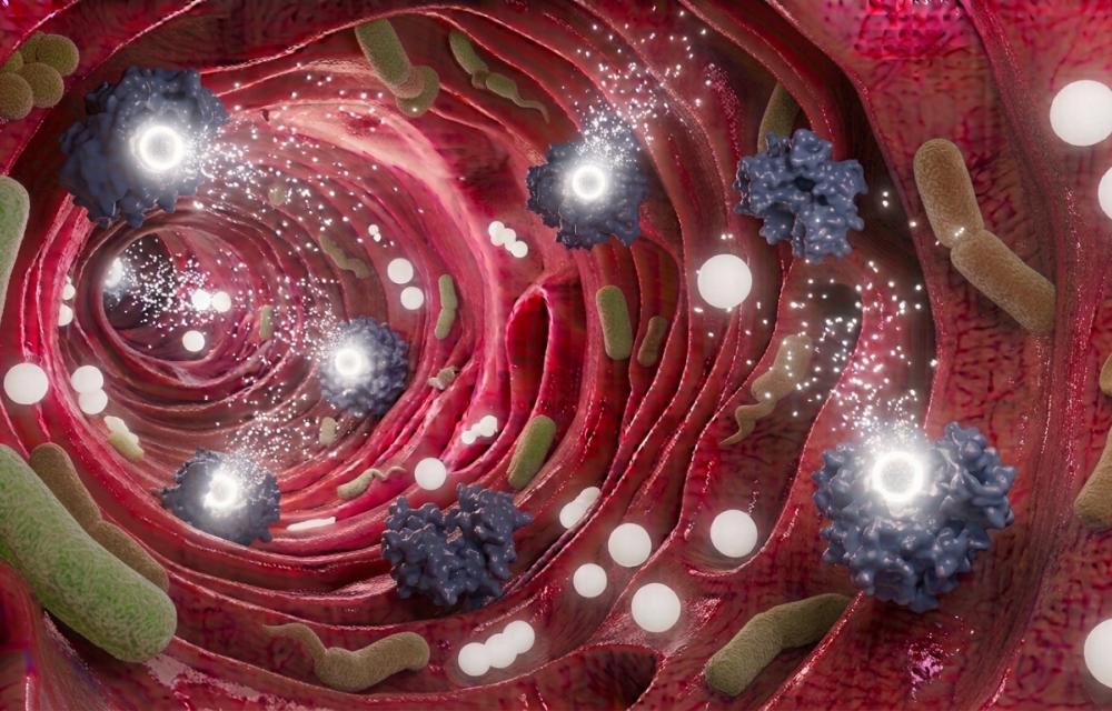 Graphic image of what ingestible probes look like inside the gut.