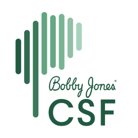 Photo of the logo for the Chiari & Syringomyelia Foundation